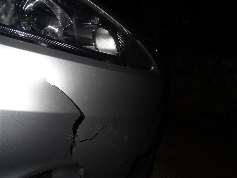 damage to car caused by deer